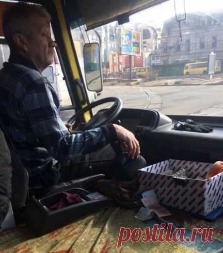 "Порошенку посвідчення показуй. Воно мені на х*й не треба": У Києві новий скандал за участю бійця АТО та водія маршрутки (фото) Водій відповідав військовому у грубій формі. За учасника АТО заступилася лише одна пасажирка. У Києві водій маршрутки №587 (ВВ 02 83 АА) відмовився безкоштовно провезти учасника АТО. Про це на своїй сторінці в соціальній мережі Facebook написала журнал...