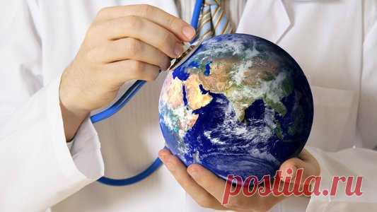 Польза имбирной настойки на водке - МирТесен