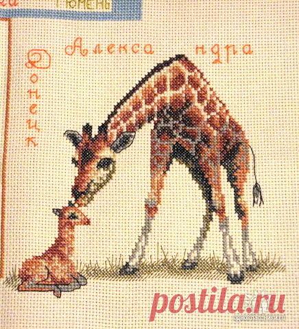 Чаpiвна мить, вышила два раза, один раз на робин и второго себе.