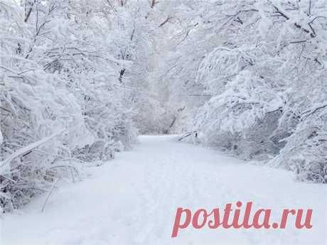 Только Любви, только Удачи! Много Любви!… как же иначе! Будьте здоровы, будьте любимы, Будьте единственны, неповторимы! Много улыбок — от них хорошеют, Мало обид — от них сердце черствеет. В доме — уюта, добра и тепла, Сказки чудесной и без конца! Доброе утро! Всем удачного дня!😉😊