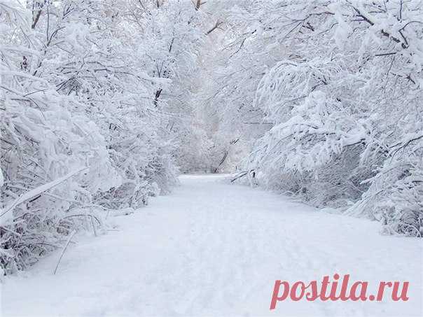 Только Любви, только Удачи! Много Любви!… как же иначе! Будьте здоровы, будьте любимы, Будьте единственны, неповторимы! Много улыбок — от них хорошеют, Мало обид — от них сердце черствеет. В доме — уюта, добра и тепла, Сказки чудесной и без конца! Доброе утро! Всем удачного дня!😉😊