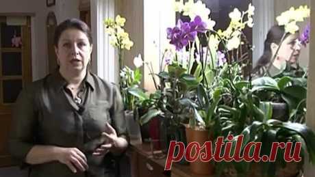 (44) Одноклассники