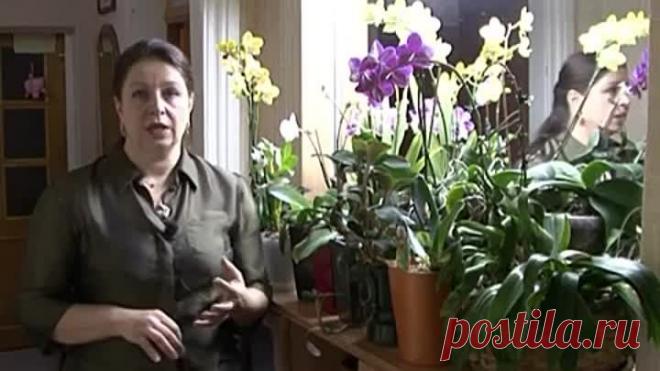 (44) Одноклассники