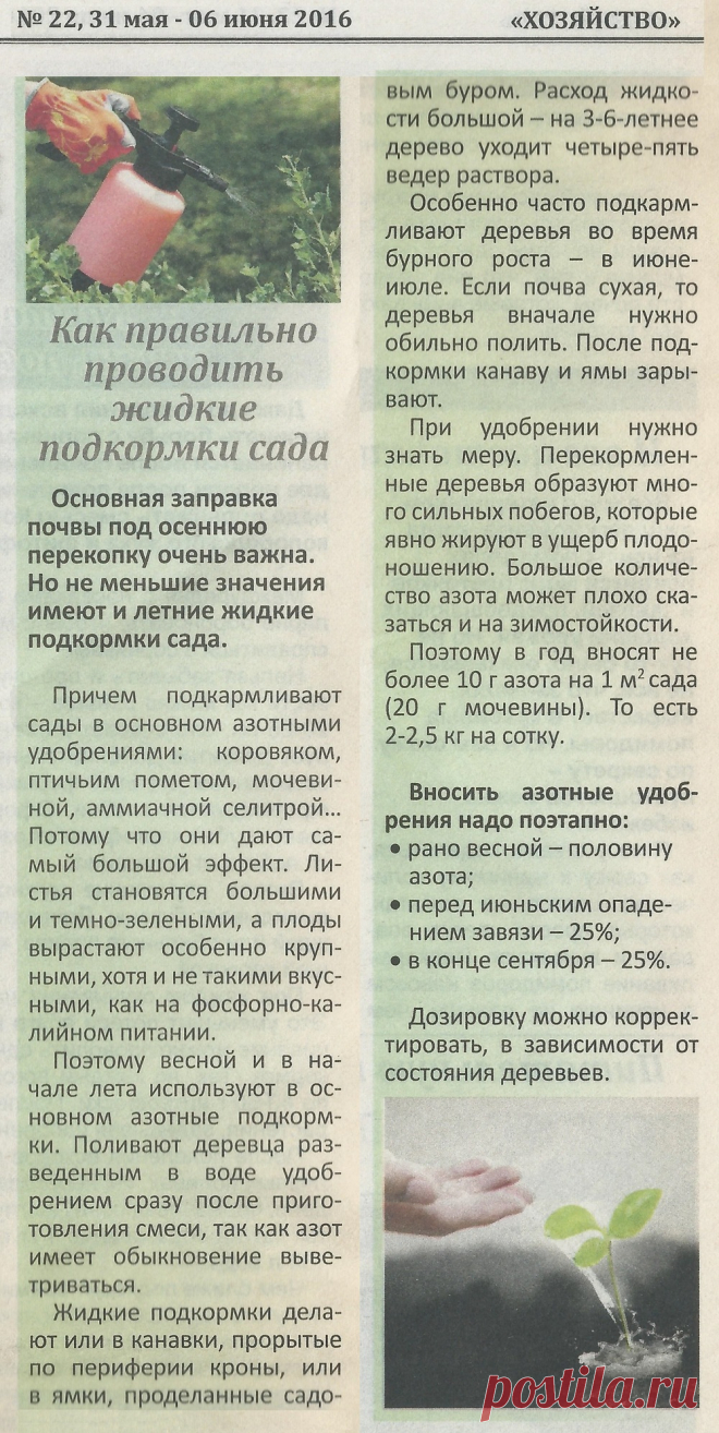 Как правильно проводить жидкие подкормки сада