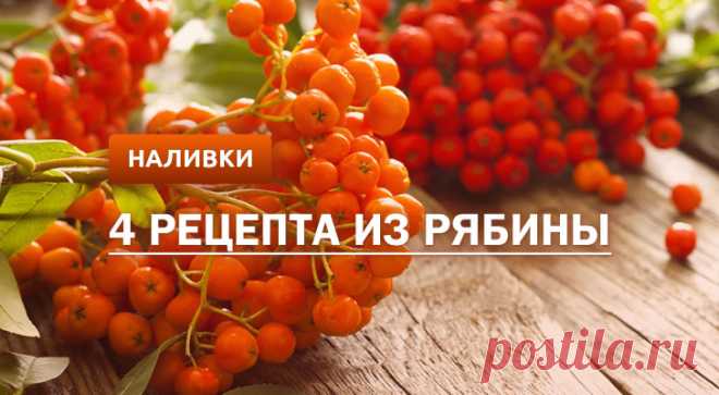 Наливка из рябины: 4 рецепта в домашних условиях