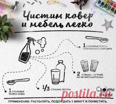 Чистим ковёр и мебель легко