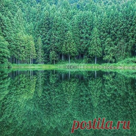 Зеркало природы.