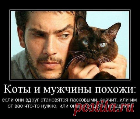 Интересные новости