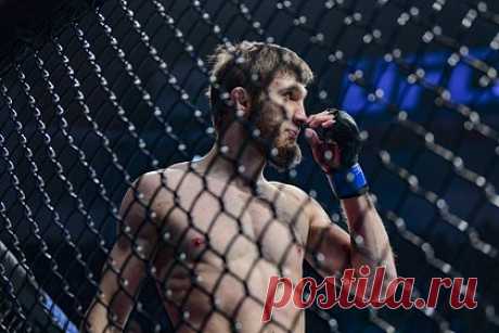 Однофамилец Нурмагомедова одержал четвертую подряд победу в UFC. Российский боец смешанного стиля (ММА) Саид Нурмагомедов одержал четвертую подряд победу в Абсолютном бойцовском чемпионате (UFC). Он оказался сильнее американца таджикского происхождения Саид-Йокуба Кахрамонова на турнире UFC Vegas 66. Поединок завершился удушающим приемом во втором раунде.