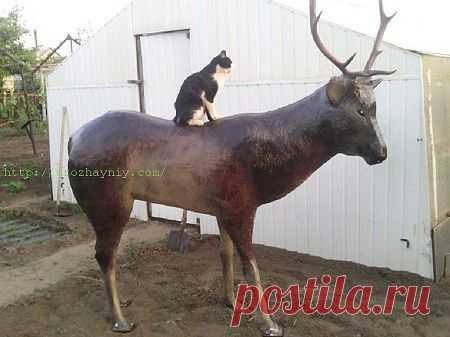 Умелые ручки