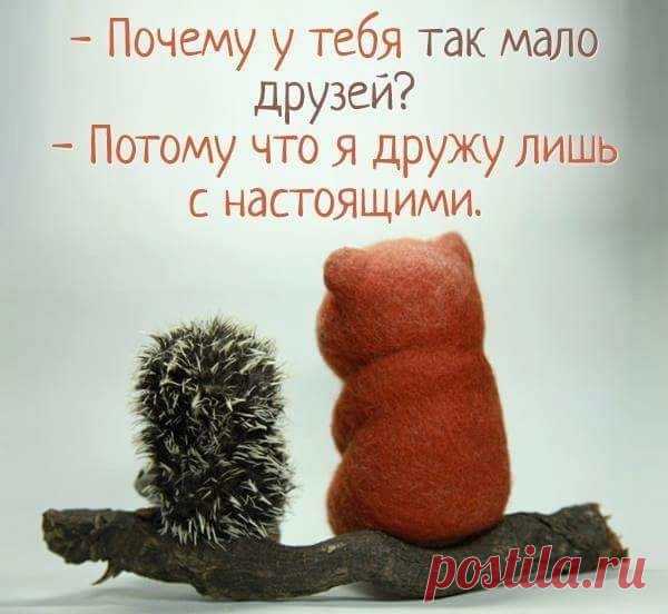 Спасибо всем, кто в трудную минуту
Не бросил камень в спину, не предал.
Спасибо, кто не сеял сплетни, смуту,
Плечо подставил, словом поддержал.

Спасибо, кто откликнулся мгновенно -
Пришел на помощь с чистою душой.
Друзья, я благодарна вам безмерно,
Спасибо всем, кто рядом есть со мной!
