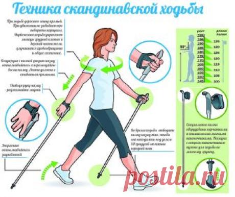СКАНДИНАВСКАЯ ХОДЬБА
Скандинавская ходьба – это не развлечение, а вполне серьезный вид фитнеса для укрепления здоровья и для похудения.  Польза Скандинавской ходьбы огромна! Существует спортивная ходьба – об этом виде спорта все знают. Но Скандинавская ходьба с палками – это нечто особенное.
Причины популярности Скандинавской ходьбы:
 Можно заниматься в любое время года на свежем воздухе, даже зимой.
Доступный вид фитнеса для людей всех возрастов.
 Эффективный метод похуде...