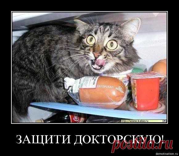 Смешные картинки -
