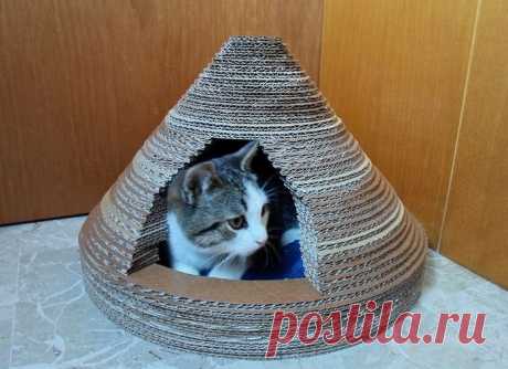 Домик для кота