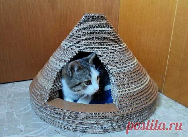 Домик для кота