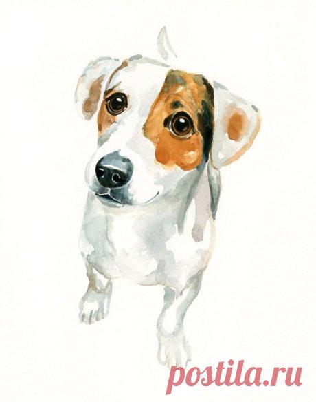 CUSTOM of your PET by DIMDI Original watercolor painting 8X10inchxxxxAll the animals that you wantxxxx. $35.00, via Etsy. | Pet Portraits
