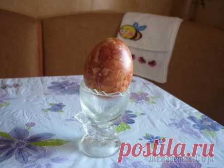 Красим яйца к пасхе
