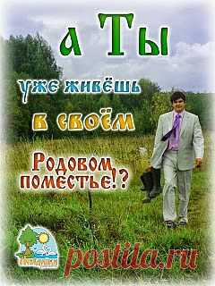 SOOLARBOY: Владимир Мегре Какое будущее у Родовых поместий?