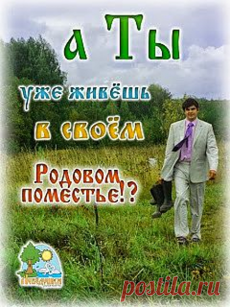 SOOLARBOY: Владимир Мегре Какое будущее у Родовых поместий?