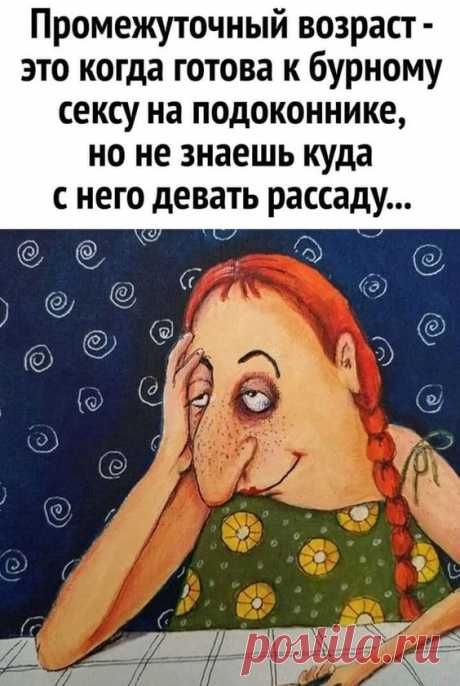 (779) Pinterest