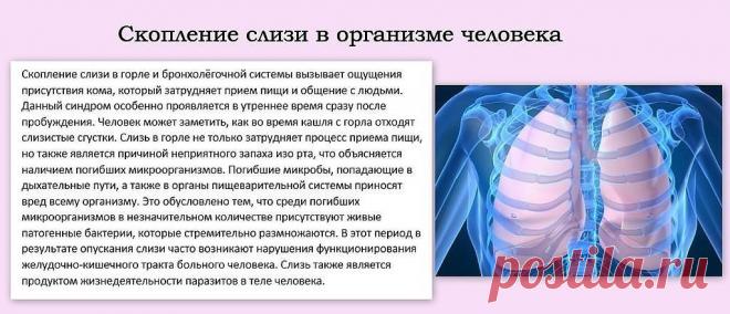 СКОПЛЕНИЕ СЛИЗИ В ОРГАНИЗМЕ ЧЕЛОВЕКА !!!  **Отсюда, и болезни: Аденоиды, Ангина, Астма, Бронхит, Воспаление лёгких, Грипп, Катар, Кашель, Ларингит, Простуда, Ринит. *Стоп! -большое кол-во хлеба, сахара, картофеля, круп очищенных, мяса, жареной пищи, и молочных продуктов -накопление отбросов с кисл/реакцией, и образование слизи!..