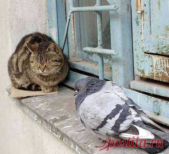 Диалоги