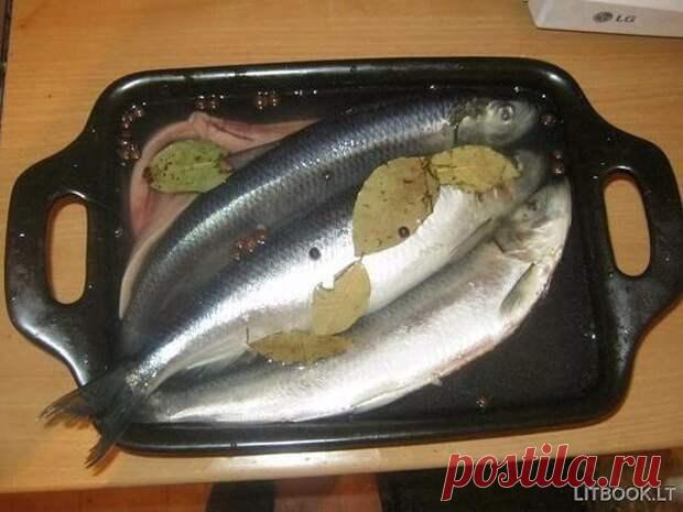 (99+) Сельдь пряного посола - Хозяин и Хозяюшка - медиаплатформа МирТесен • Домашняя Кулинария • Сельдь пряного посолаИнгредиенты:-2 свежемороженых селедки;-1 литр теплой кипяченой воды;-2 ст. ложки соли;-1 неполная ст. ложка сахара;-душистый перец;-лавровый лист;-гвоздика;Приготовление:1. Начнем с подготовки селедки. Сначала ее необходимо разморозить, промыть и очистить