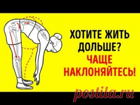 Подпишитесь на AdMe: https://goo.gl/DgUonf ---------------------------------------------------------------------------------------- Узнайте возраст своего орг...
