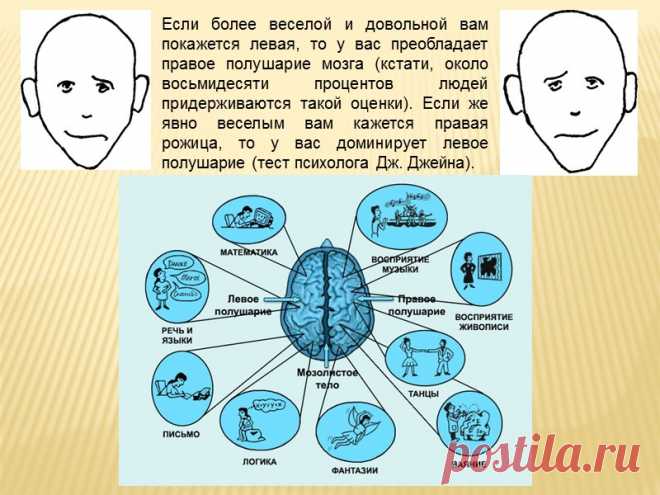 4-dihotomiya_etika_-logika.pptx_23.jpg (800×600)