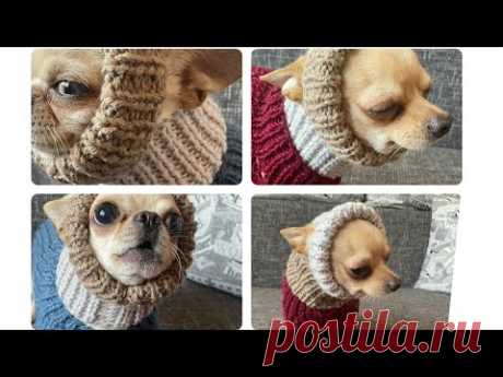 Шапочка спицами для собачки! Утепляем своих любимчиков💕🐶