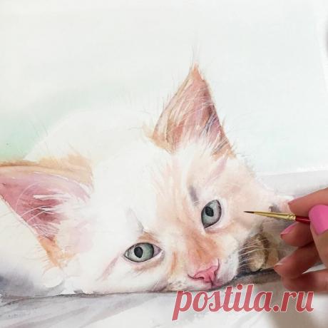 Художница Maria Raczynska и ее верные друзья