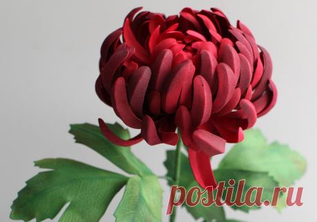 0031477.ru/kurs/liliya-krencler/