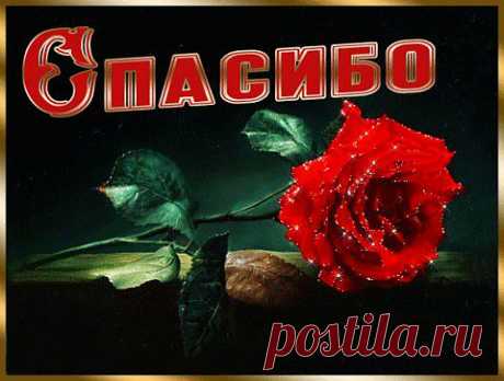 Интересные идеи для вязания шапочек | Вязание крючком и спицами