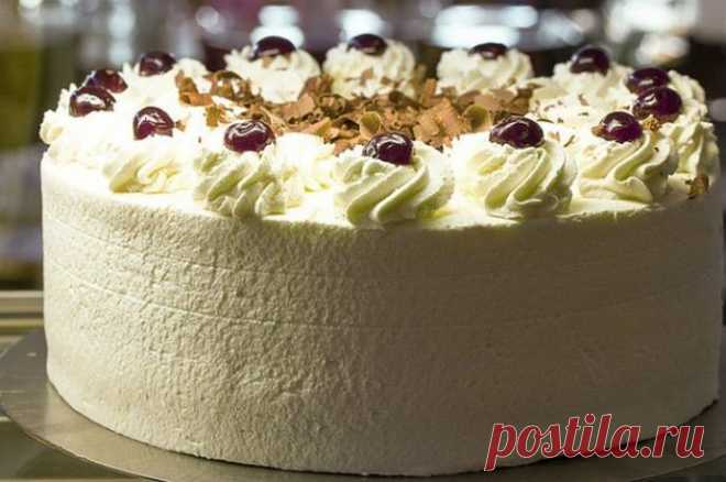 25 научных хитростей, упрощающих приготовление ужина