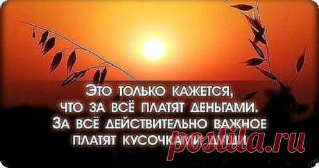 «Я — не тело, наделенное душой, я — душа, часть которой видима и называется телом»
Пауло Коэльо