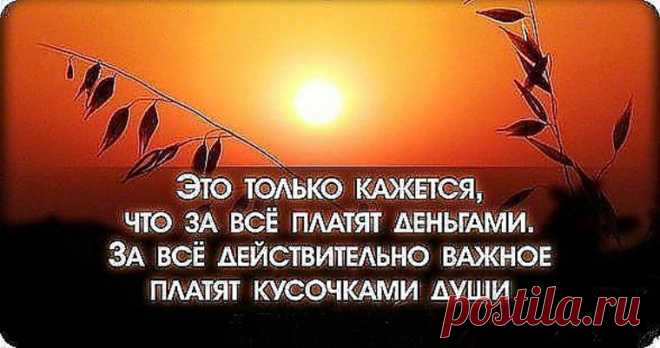 «Я — не тело, наделенное душой, я — душа, часть которой видима и называется телом»
Пауло Коэльо