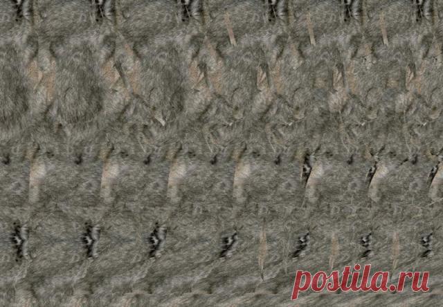 Стереокартинки. Продолжение 1. / Фотошоп и я.