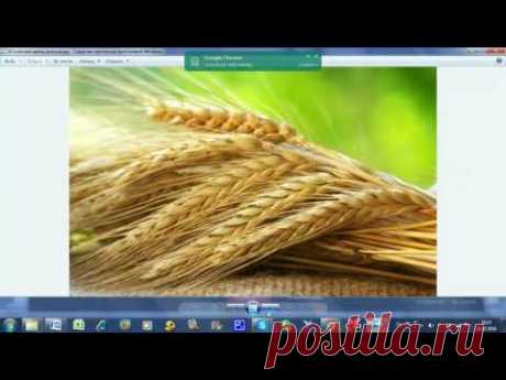Вышивка лентами. Фуксия (фрагмент вебинара от 18.07.2016г.)