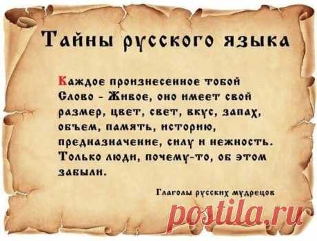 Екатерина Шлёмина | Facebook