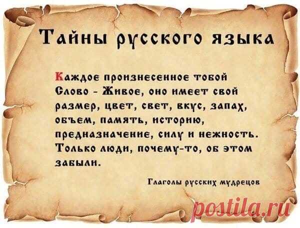 Екатерина Шлёмина | Facebook