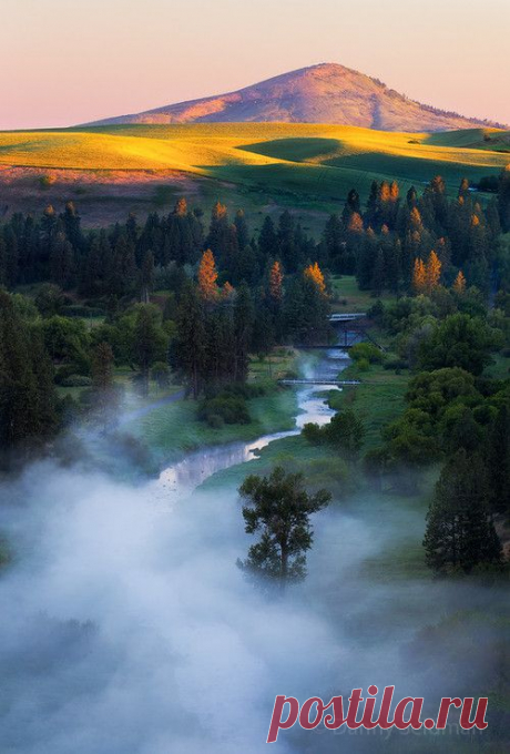 This is a Nature blog.