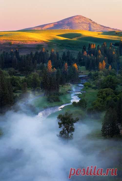This is a Nature blog.