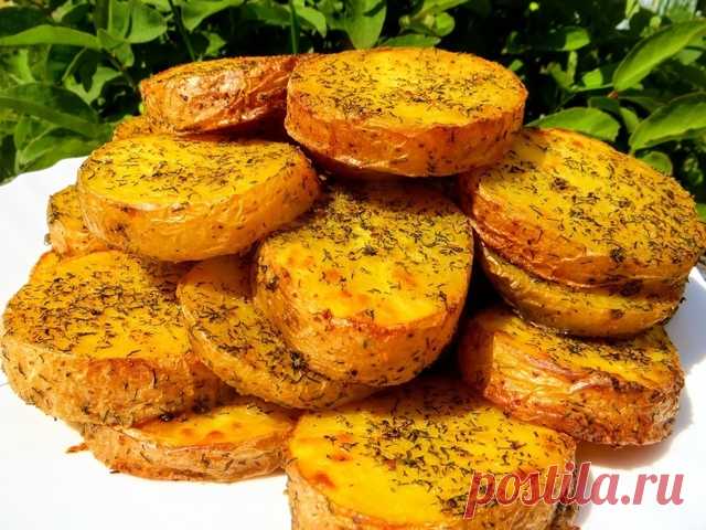 Запеченный картофель в духовке с чесноком и укропом – пошаговый рецепт с фотографиями