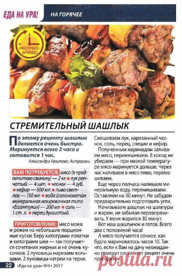 Стремительный шашлык