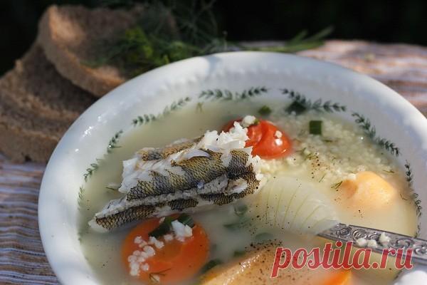 Уха из судачков на костре  Уха – как ее правильно варить? Если вы хотите знать ответ – это не комне. Мы варим ее так, как любим, не вникая в тонкости. Получается, правда, ОЧЕНЬ вкусно – возможно, только для нас? ;) 
…Варить ух…