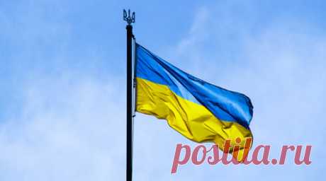 RT выяснил, что Киев жалуется в МИД Индии на работающих в Донбассе журналистов. Украинские власти пишут жалобы в МИД Индии на местных журналистов, работающих в Донбассе, выяснил RT. Одним из них стал сотрудник одного из крупнейших индийских каналов TV9 Маниш Джа. Недавно он заснял обломки американских снарядов и западные дроны, которыми ВСУ атаковали Запорожскую АЭС. Читать далее