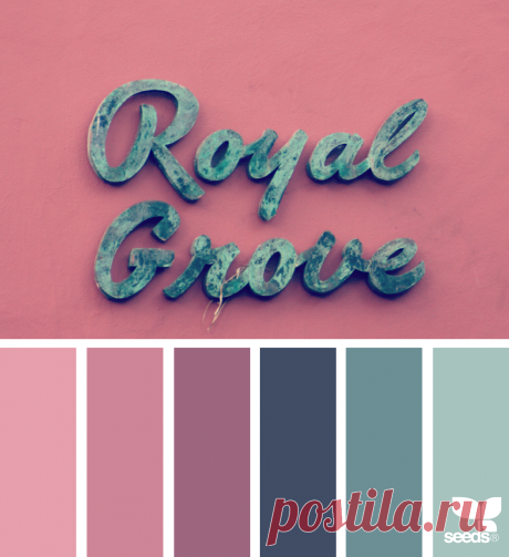 design seeds | for all who ♥ color