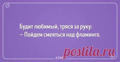 12 искрометных фраз от тех, кто разговаривает во сне / Surfingbird - мы делаем интернет лучше