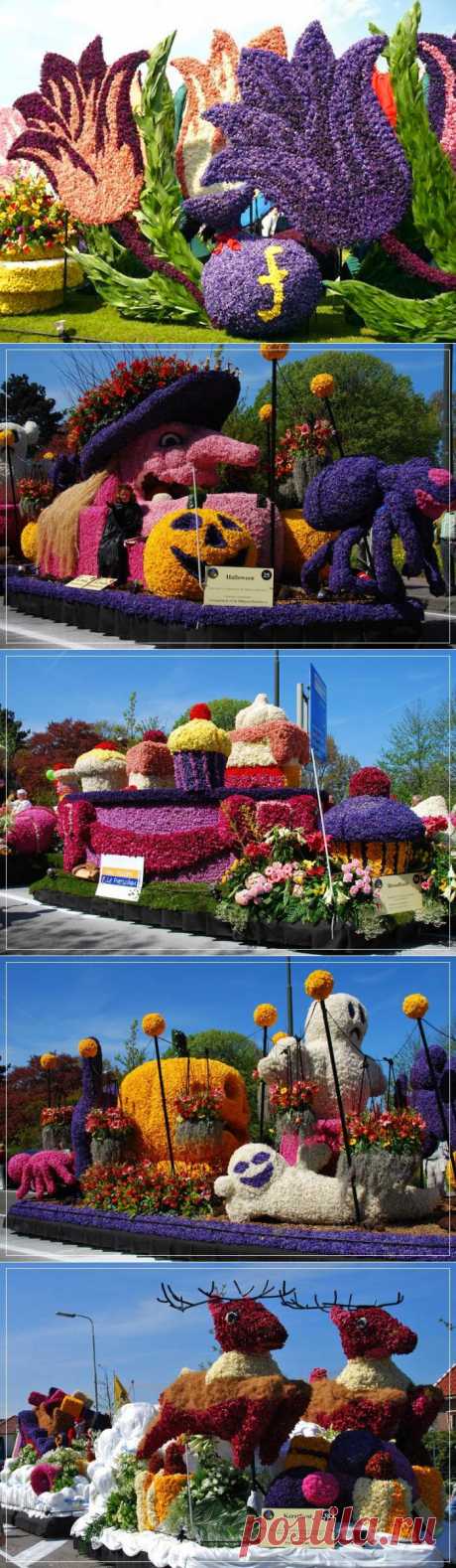 Вокруг Света: Парад цветов в Аалсмеере (Голландия)