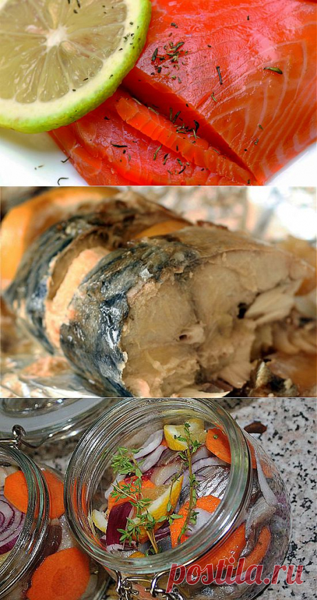 Топ 9 вкусных маринадов для рыбы.